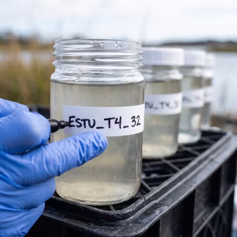 Sample jar labelling, macro — Course imagery, sampling protocol.